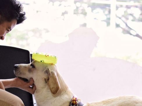 animal house veterinary clinic makati